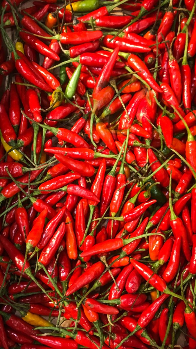 Cabai Rawit Merah